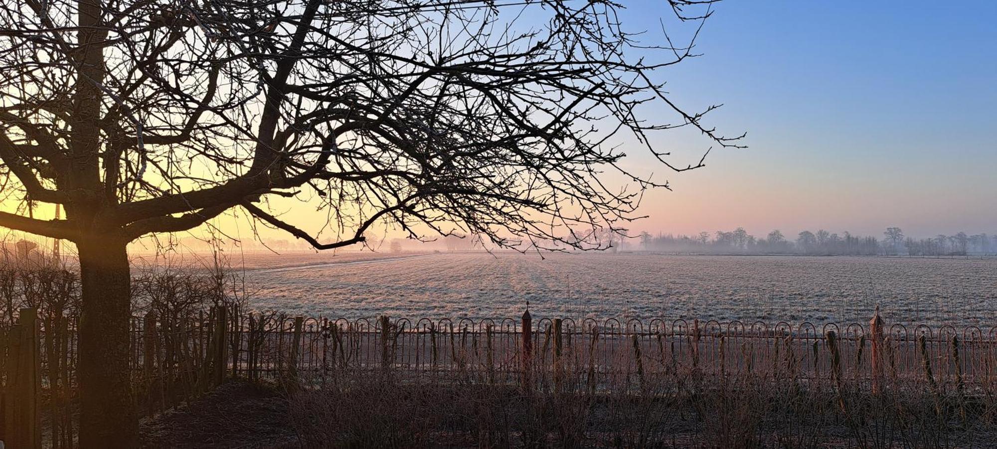 Wilgenwind Villa Sijsele Exteriör bild