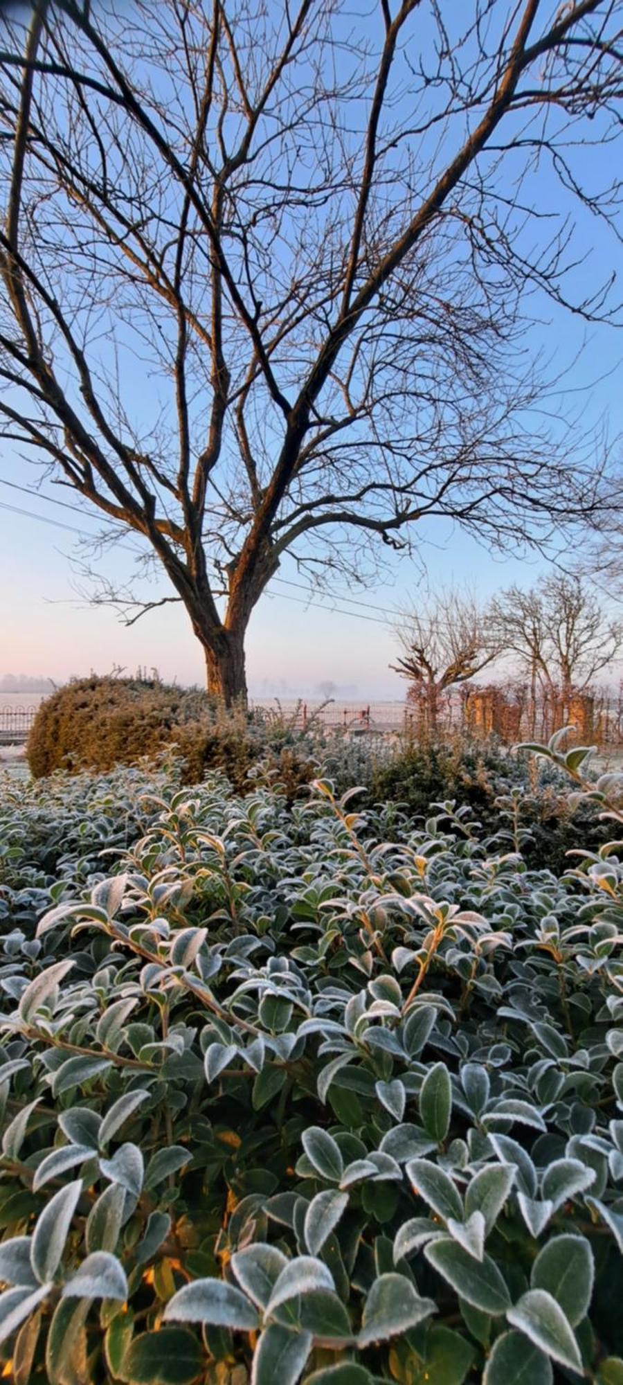 Wilgenwind Villa Sijsele Exteriör bild