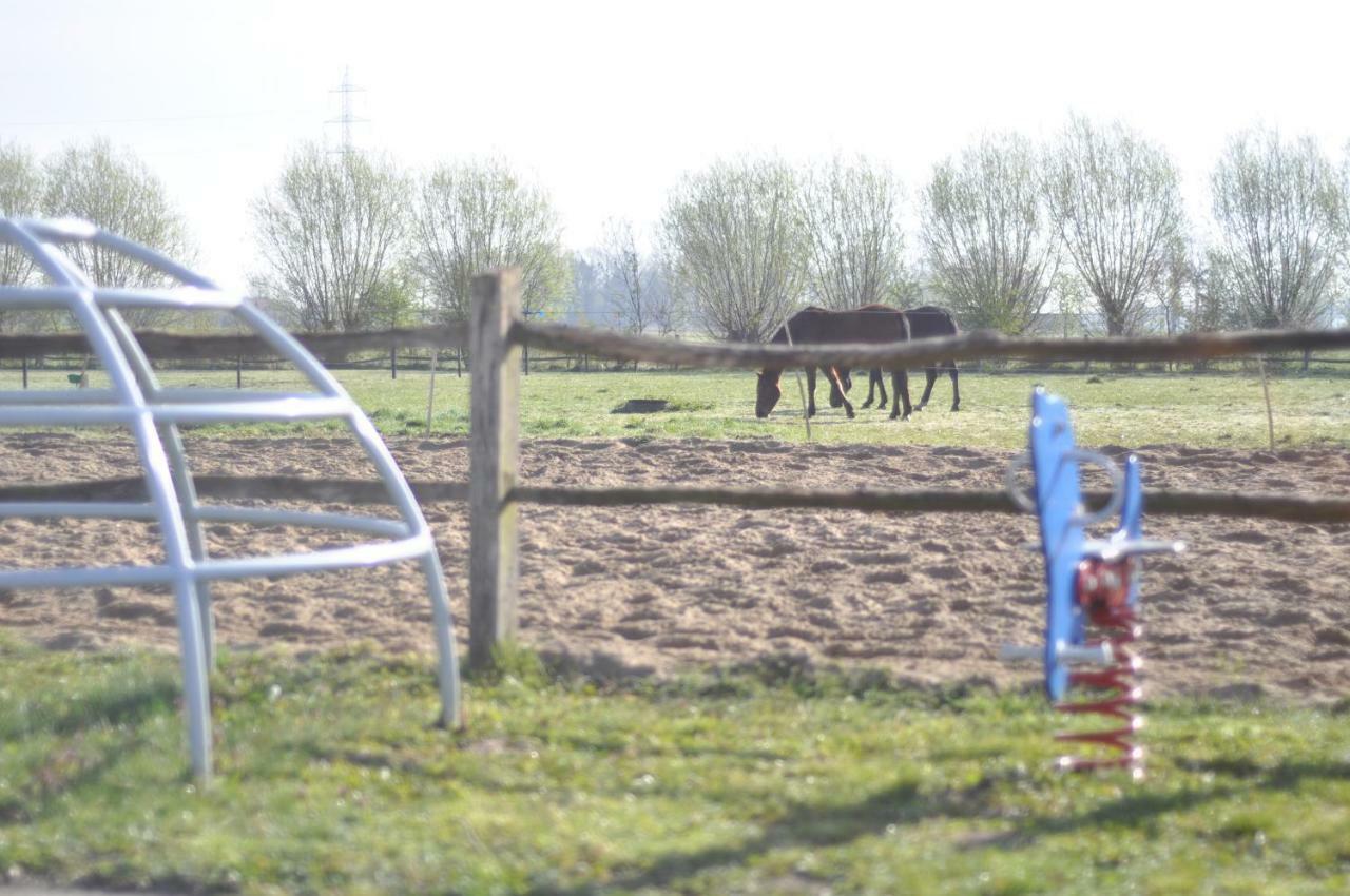 Wilgenwind Villa Sijsele Exteriör bild